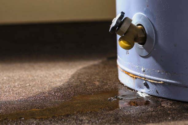 Best Ceiling water damage repair  in Penn Farms, PA