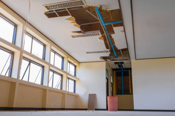 Best Water damage restoration near me  in Penn Farms, PA