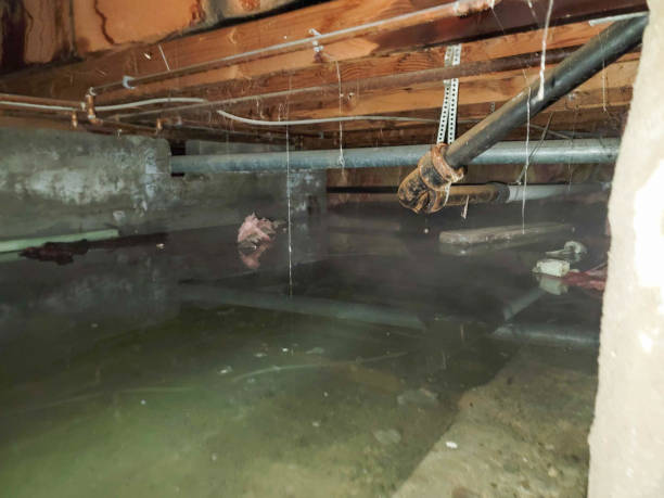 Best Emergency water extraction  in Penn Farms, PA