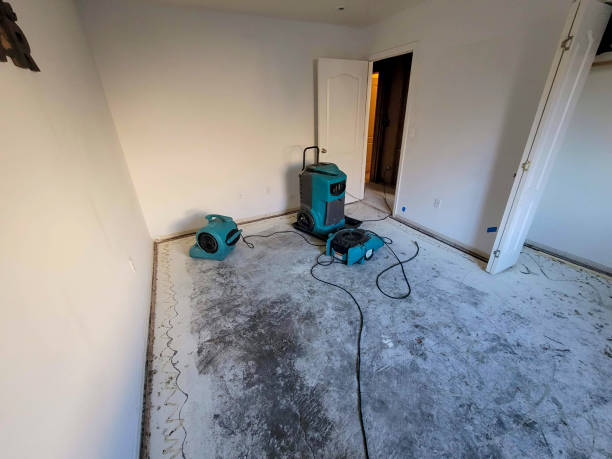 Best Local water damage restoration  in Penn Farms, PA