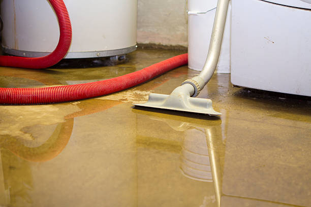 Best Mold removal after water damage  in Penn Farms, PA