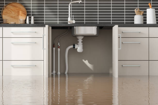 Best Water damage restoration near me  in Penn Farms, PA